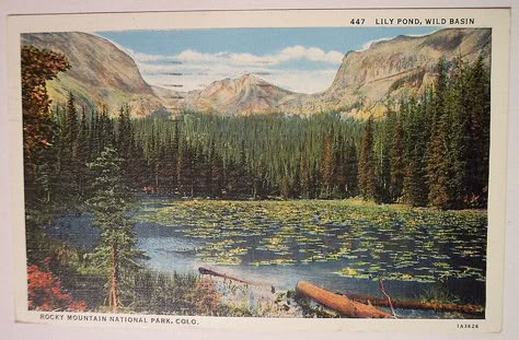 Vintage Postcard Rocky Mountain National Park, Colorado by riptheskull, via Flickr National Park Postcards, Rivers And Roads, Rocky Mountain National Park Colorado, Nature Posters, Lily Pond, National Park Posters, Rocky Mountain National, Antique Postcard, Rocky Mountain National Park