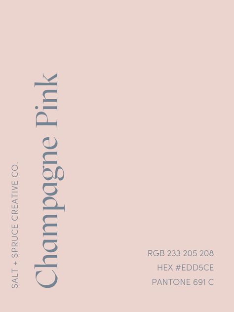 Light Pink Pallete Color, Pale Pink Color Scheme, Light Pink Branding, Champagne Pink Aesthetic, Pink Color Swatch, Pink Swatches, Pink Website, Pink Pantone, Pink Branding