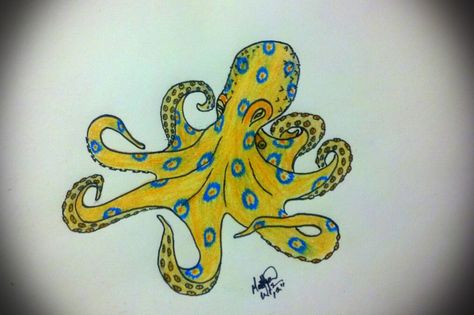 Watercolour Octopus Tattoo, Blue Ringed Octopus Drawing, Octopus Swimming Drawing, Ringed Octopus, Octopus Coming Out Of Water Drawing, Blue Ringed Octopus, Blue Ring Octopus, Octopus Drawing, Octopus Tattoos