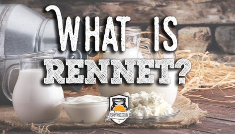 What is Rennet? Rennet is an enzyme used to coagulate milk and turn it into cheese. There are four main types of rennet that cheesemakers can choose from- animal rennet, microbial rennet, plant rennet, and fermentation-based rennet. The two most popular types of rennet are microbial and animal rennet. [...] The post What is Rennet? appeared first on Fermentaholics. Rennet Homemade, Rennet Cheese, Cheese Making Process, Cheese Recipes Homemade, Cheese Making Recipes, Fancy Appetizers, Manchego Cheese, Burrata Cheese, Cheese Making