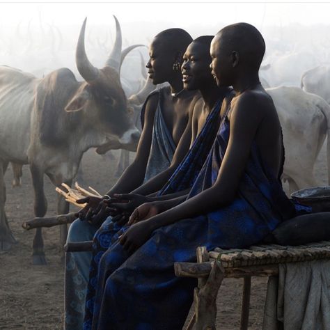 Mundari Tribe, Africa Tribes, Africa People, Africa Photography, Eric Lafforgue, African Spirituality, South Sudan, Film Photography 35mm, Its A Mans World