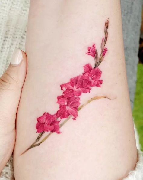 Gladiolus Flower Tattoos, Hummingbird Flower Tattoos, Gladiolus Tattoo, Pisces Tattoo Designs, Poppy Flower Tattoo, Gladiolus Flower, Vine Tattoos, Floral Tattoos, Birth Flower Tattoos