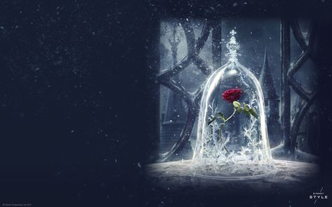 Beauty and the Beast is almost here! Get your devices ready with these enchanting phone, tablet, and computer Beauty and the Beast wallpapers. Bell Rose, Beauty And The Beast Wallpaper, 2017 Wallpaper, Beast Wallpaper, Disney Belle, Enchanted Rose, Red Rose Flower, Disney Beauty And The Beast, Diamond Mosaic