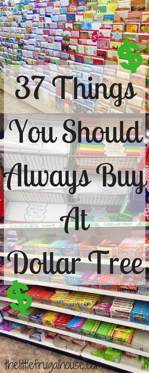 Dollar Tree Gifts, Dollar Tree Organization, Dollar Tree Hacks, Dollar Store Hacks, Dollar Tree Finds, Dollar Tree Decor, Dollar Tree Store, Saving Ideas, Dollar Tree Crafts