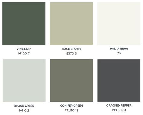 Behr Vine Leaf Color Palette, Jungle Camoflauge Behr, Behr Green Exterior House Colors, Russian Olive Behr, Behr Green Paint Colors Bathroom, Behr Green Paint Colors Kitchens, Conifer Green Behr, Behr North Woods, Behr Green Paints