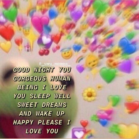 Goodnight Wholesome, Cute Messages For Her, Good Night Meme, Gf Memes, Good Night I Love You, Love You Meme, Cheer Up Quotes, Wholesome Pictures, Love You Cute