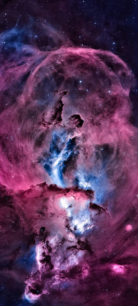 The Statue of Liberty Nebula in Bij Color cropped close up mobile wallpaper 1080x2400 Real Nebula Photos, Space Wallpaper 4k Ultra Hd, Real Space Images, Nebula Photos, Nebula Aesthetic, Nasa Space Pictures, Pink Nebula, Universe Aesthetic, Nasa Galaxy