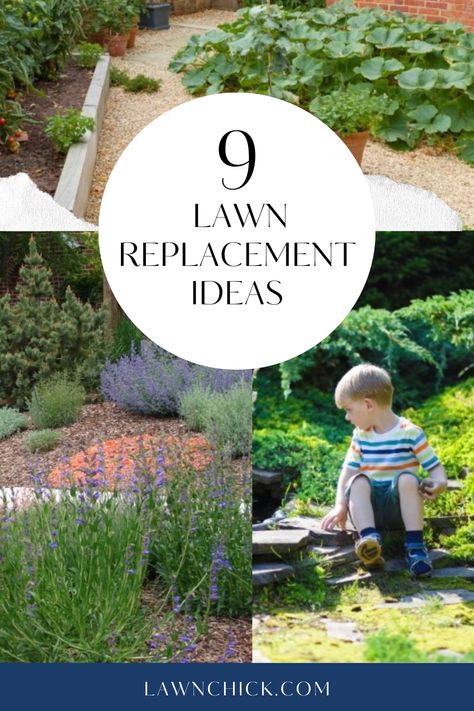 9 Lawn Replacement Ideas Backyard Grass Replacement Ideas, Replace Lawn With Garden, Reduce Grass In Backyard, Front Yard Grass Replacement Ideas, Lawn Free Garden, Lawn Conversion Ideas, Alternatives To Grass In Front Yard, No Mow Yard Ideas, No Lawn Garden Ideas