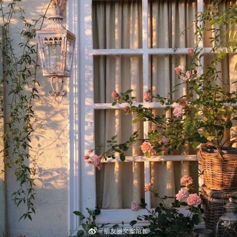 Зеленые Обои, Spring Aesthetic, Nature Aesthetic, Dream Home Design, Pretty Flowers, House Inspo, The Window, Cottage Core, Pretty Wallpapers