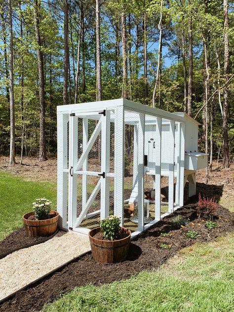 Chicken Enclosure, Backyard Ducks, Small Chicken Coops, Chicken Coop Garden, Chicken Home, Cute Chicken Coops, Chicken Bird, Chicken Nesting Boxes, Backyard Chicken Coop Plans