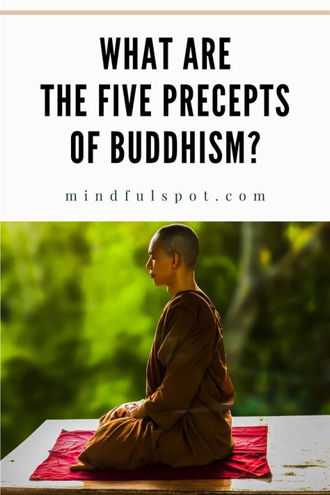 Do you love Buddhist philosophy? Keep reading to learn more about the the five Buddhist precepts of Buddhism, one of the key teachings of the Buddha that can improve your mindfulness practice. Spiritual Quotes Buddha, Teachings Of Buddha, Buddhist Words, Buddhism For Beginners, Buddhism Beliefs, Quotes Buddha, Buddhist Beliefs, Improve Life, Mindfulness Books