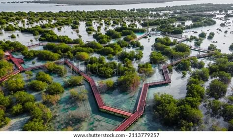 Jubail Mangrove Park Abu Dhabi Stock Photo 2113779257 | Shutterstock Mangrove Park, Architecture Design Concept, Abu Dhabi, Urban Design, Concept Design, Photo Image, Royalty Free Stock Photos, Architecture Design, Stock Images