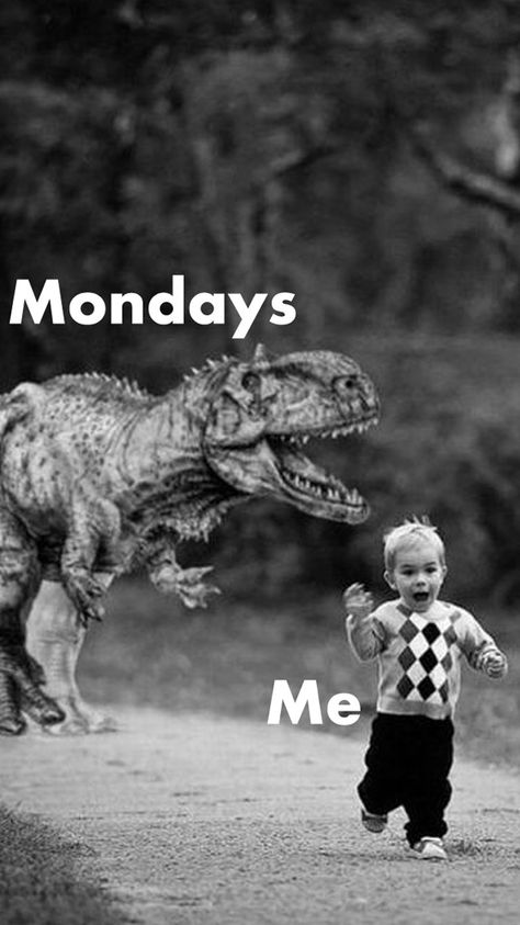 Mondays chasing me Monday Sucks, Monday Memes, Monday Humor, Weekday Quotes, Morning Quotes Funny, Slaap Lekker, Monday Quotes, Morning Humor, Work Memes