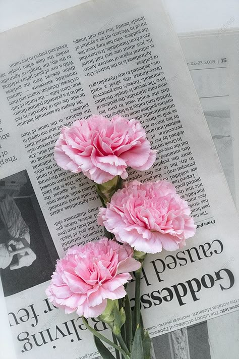 Claveles Rosados El Día De La Madre Fondos Pink Carnations, Carnation Flower, Flower Therapy, Pink Vibes, 20th Birthday, Pretty Photos, Pink Aesthetic, Beautiful Wallpapers, Cute Pink