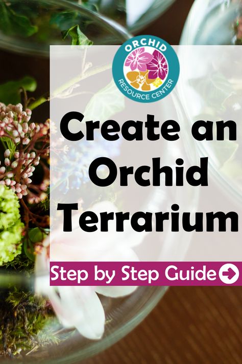 Orchids In Terrarium, Orchid Terrarium Ideas, Orchid In Terrarium, Orchid Terrarium Diy How To Make, Closed Terrarium Ideas Unique, How To Make A Terrarium Step By Step, Orchid Display Ideas Indoor, Plants Display Ideas, Orchid Terrarium Diy