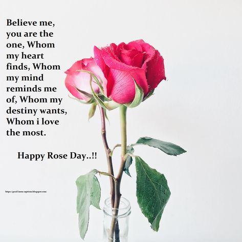 Happy Rose Day good captions Rose Day Caption For Instagram, Rose Day Captions, Rose Day Quotes For Best Friend, Aesthetic Rose Captions, Rose Day Thought, Happy Rose Day Quotes, Rose Captions, Best Ig Captions, Good Captions