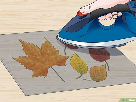 6 formas de conservar las hojas de otoño - wikiHow Drying Fall Leaves, How To Save Fall Leaves, Saving Fall Leaves, How To Dry Fall Leaves, Leaf Preservation Art, How To Preserve A Leaf, Drying Leaves For Crafts, How To Preserve Leaves Diy, How To Preserve Fall Leaves