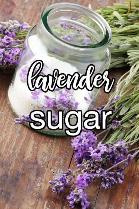 Lavender Sugar - Subtly flavored sugars like this lavender-infused variety are a wonderful way to add fragrant notes to foods and beverages. Whether you're using the sugar to sweeten an herbal tea or top off a torched creme brulee, you'll wonder why you've never done it before. | CDKitchen.com Flavored Sugars, Cooking Substitutes, Basic Baking, Lavender Sugar, Cooking Substitutions, Craft Recipes, Creme Brûlée, Flavored Sugar, Ingredient Substitutions