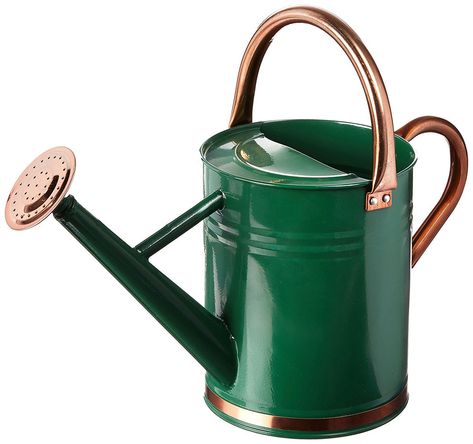 Plant Watering Can, Metal Watering Can, Watering & Irrigation, Copper Accents, Pot Designs, Green Copper, Galvanized Metal, Garden Accessories, Lawn And Garden