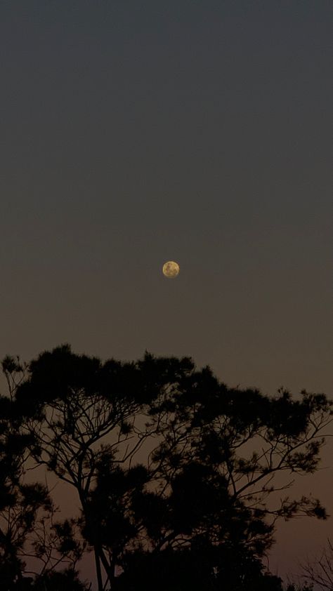 Night Kerala, Full Moon Aesthetic, Moon Pics, Full Moon Night, Snapchat Streak, Moon Aesthetic, Moon Pictures, Moon Photography, Moon Night