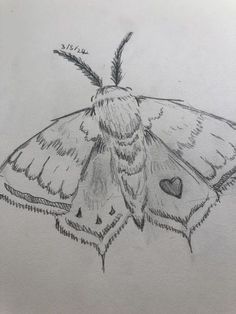 Moth Drawing Sketch, Moth Drawing Reference, How To Draw A Moth, Moth Sketches, Moth Drawing Simple, Moths Drawing, Bug Sketches, Moth Doodle, Luna Moth Drawing