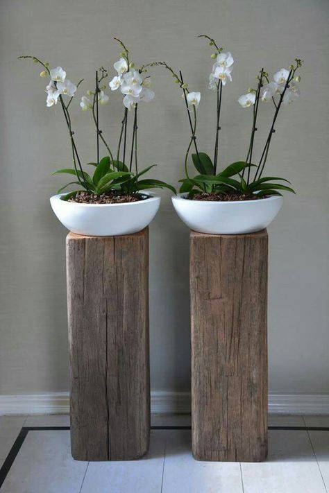 Tanaman Air, Bathroom Plants, Bathroom Trends, Deco Floral, Diy Bathroom, Plant Decor, Flower Pot, Home Deco, Indoor Plants