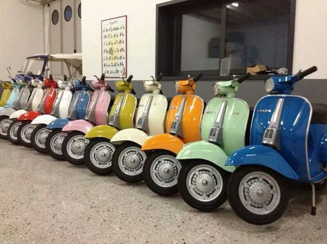 Vespa line Vespa Metic, Vespa 50 Special, Vespa Special, Vespa Models, Vespa Vbb, Vespa Smallframe, Vespa 50, Vespa 200, Vespa Pts