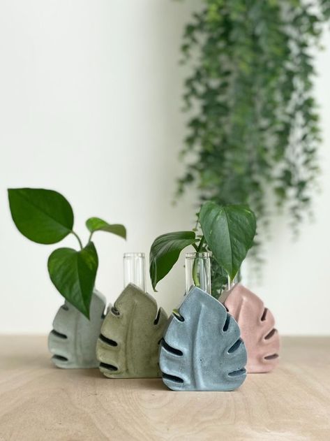 Concrete Monstera Leaf Propagation Stand in multiple color options Glass Propagation, Leaf Propagation, Plant Propagation Station, Colorful Centerpieces, Propagation Station, Plant Propagation, Boho Eclectic, Plant Lover Gift, Propagating Plants