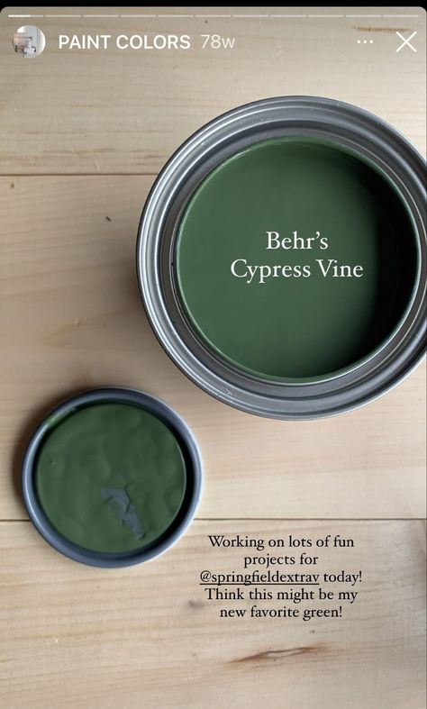 Matte Green Paint, Green Painted Fireplace Mantel, Behr Cypress Vine Paint, Forest Green Paint Behr, Behr Paint Dark Green, Behr Olive Green, Rustic Green Paint Colors, Cypress Vine Behr, Witchy Paint Colors