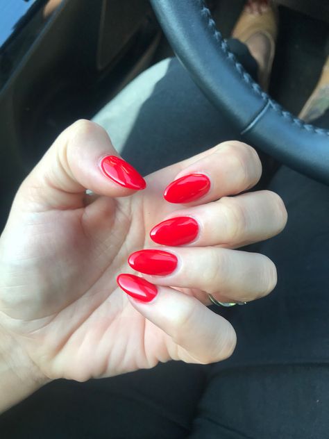 Red Short Nails, Red Nails Short, Short Red Nails, Bright Red Nails, Short Almond Nails, Ferrari Red, Red Acrylic Nails, Short Nails Art, Her Nails