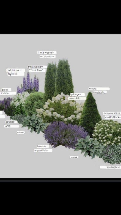 Cape Cod Landscaping Front Yards, English Garden Front Yard, Front Yard Hydrangea, Backyard Hydrangeas, Hydrangea Flower Bed, English Lavender Plant, Azaleas Landscaping, Landscape Ideas Front Yard Curb Appeal, Lake Landscaping