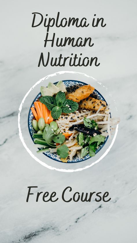 Nutrition Courses Online, Best Diet Plans, 2024 Meals, Protein Baking, Nutrition Classes, Nutrition Certification, Human Nutrition, Metabolic Disorders, Nutrition Course