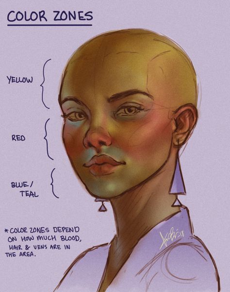 Colour Zones Face, Color Zones Face, Subdermal Color Zones, Face Colour Zones, Color Study Art, Color Zones Of The Face, Face Color Zones, How To Draw Skin, Face Shading