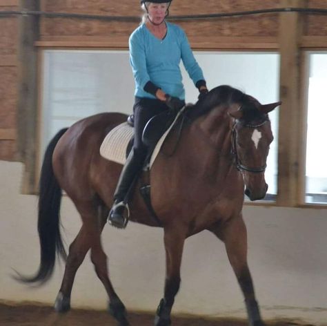 Rider Biomechanics, Riding Instructor, Riding Ideas, Dressage Exercises, Dressage Training, Horse Exercises, Horse Riding Tips, Andalusian Horse, Riding Lessons