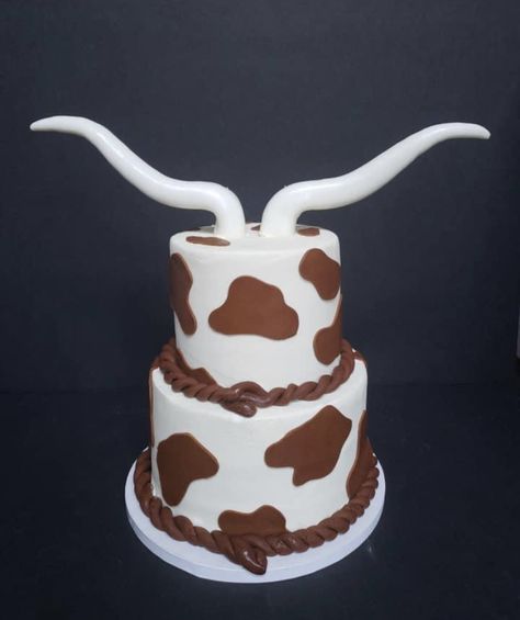 Long Horn Cow Cake, Brown Cow Print Cake, Brown Cow Cake, Cow Print Cakes, Country Cakes, Cow Birthday Cake, Cow Print Birthday, Cow Cupcakes, Cow Cake