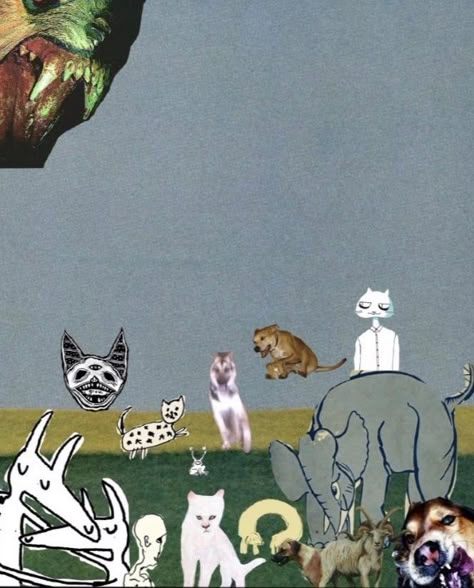 Alex G, Collage, Dogs, Animals