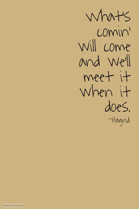 Hagrid Hagrid Quotes, Beautiful Sayings, Potter Quotes, Harry Potter Quotes, Proverbs, Wizard, Hogwarts, Me Quotes, Self Love