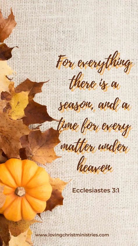 Fall Scripture, Hebrews 13 8, Inspirational Wallpaper, Scripture Wallpaper, Isaiah 9, Thanksgiving Blessings, Thank You Jesus, Inspirational Wallpapers, Yesterday And Today