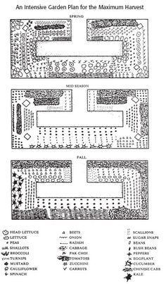 Intensive Gardening, Vertical Vegetable Garden, Vegetable Garden Planning, Garden Plan, Veg Garden, Square Foot Gardening, Urban Gardening, Vegetable Garden Design, Food Garden