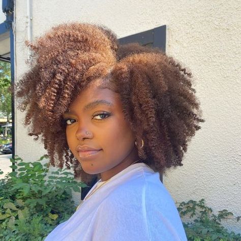 Blake Jael, Afro Hair Color, Natural Hair Highlights, Honey Brown Hair, Dyed Hair Inspiration, Dyed Natural Hair, Natural Hair Beauty, Texturizer On Natural Hair, Natural Hair Styles Easy