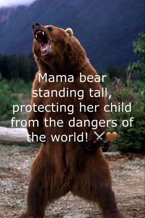 #mamabear #mama #strongmama #strongwomen #feminism #bear #bears #mom #momlife Protective Momma Bear Quotes, Momma Bear Quotes, Mama Bear Quotes, Bear Meme, Momma Mia, Bear Quotes, Mamma Bear, I Love My Mother, Bear Bears