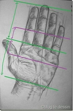 Drawing A Hand, Drawing Of A Hand, Face Proportions Drawing, Hand Pencil Drawing, Pencil Shading Techniques, Human Body Drawing, Portraiture Painting, Hand Drawing Reference, Human Drawing