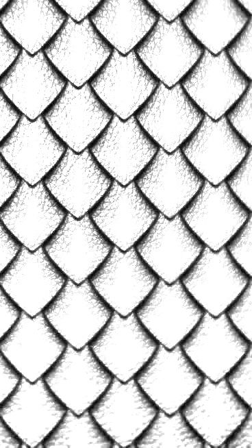 How To Draw Snake Scales, Snake Scales Drawing, Fish Scales Drawing, Snake Skin Tattoo, Fish Scale Tattoo, Miracle Tattoo, Dragon Scales Pattern, Geometric Tattoo Stencil, Sleeve Template