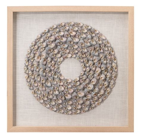 Art Coquillage, Off White Walls, Seashell Wall Art, Shell Frame, Jamie Young, Snail Shell, Seashell Art, Circular Pattern, Seashell Crafts