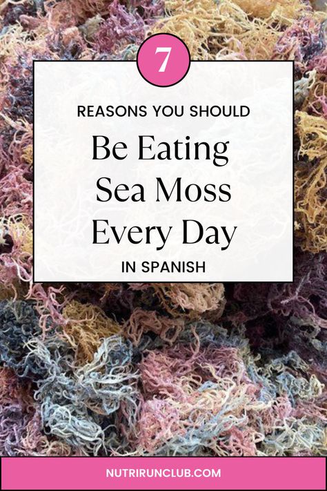 Ever wondered how to say seamoss in Spanish? In our blog post, you will learn its meaning, amazing benefits, and why this superfood is taking the world by storm! Maybe you are looking for: musgo marino, beneficios del musgo marino, musgo marino irlandes, bolas de musgo marino. Candida Die Off, Buckwheat Honey, Text English, Shilajit Benefits, Psyllium Husk, How To Say, Sea Moss, Buckwheat, Blood Orange