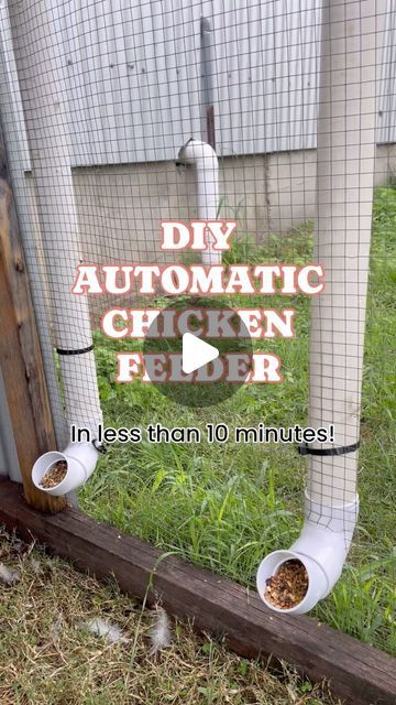 Pvc Pipe Chicken Feeder, Diy Automatic Chicken Feeder, Easy Diy Chicken Feeder, Pvc Chicken Feeder, Chicken Coop Building Plans, Chicken Feeder Diy, Mobile Chicken Coop, Backyard Chicken Coop Plans, Chicken Feeders