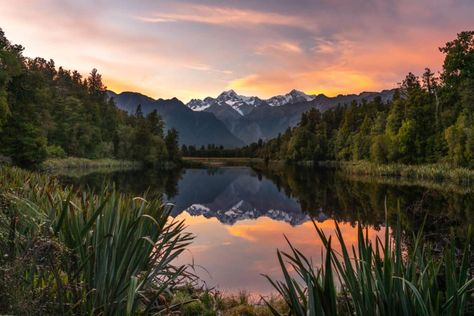 lake-matheson-new-zealand Panorama Photography, Mirror Lake, Beautiful Places To Visit, West Coast, Beautiful Places, New Zealand, Nature Photography, Places To Visit, Lake