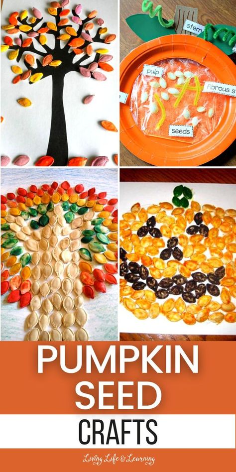 Pumpkin Seed Crafts Crafts With Pumpkin Seeds, Pumpkin Seed Craft, Pumpkin Seed Crafts For Kids, Pumpkin Seed Art, Seed Art For Kids, Pumpkin Seed Activities, Seed Crafts For Kids, Pumpkin Seed Crafts, Fall Pumpkin Activities