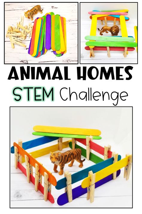 Colorful popsicle sticks, plastic animal figures and clothes pins are all shown.  There is a picture of an animal home made from the materials with a plastic tiger inside. Home Animals Preschool, Zoo Theme For Preschoolers, Preschool Zoo Animal Activities, Animals And Their Homes Craft, Savannah Animals Preschool, Zoo Animals Kindergarten Activities, Animals And Habitats Activities, Animal Families Preschool, Animals Around The World Preschool