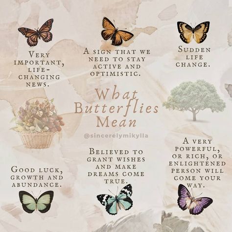 Different Butterflies And Their Meanings, Brown Butterfly Meaning, Butterfly Significance, Butterfly Meaning Spiritual, Meaning Of Butterflies, Facts About Butterflies, Butterfly Spirit Animal, Cottage Witch Aesthetic, Butterfly Symbolism